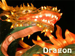 Dragon / Ryuu